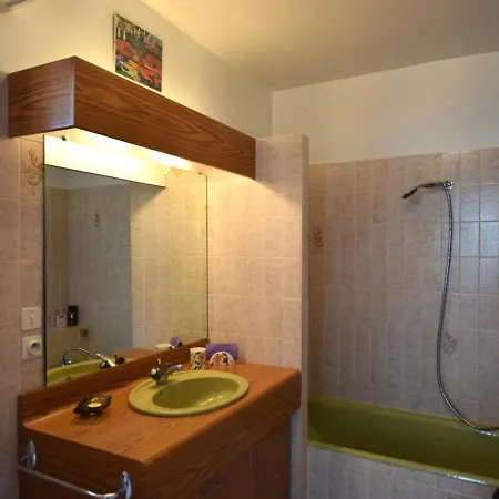 Moderne A Evian, Proche Et Commerces, Acceptant Animaux - Fr-1-498-77